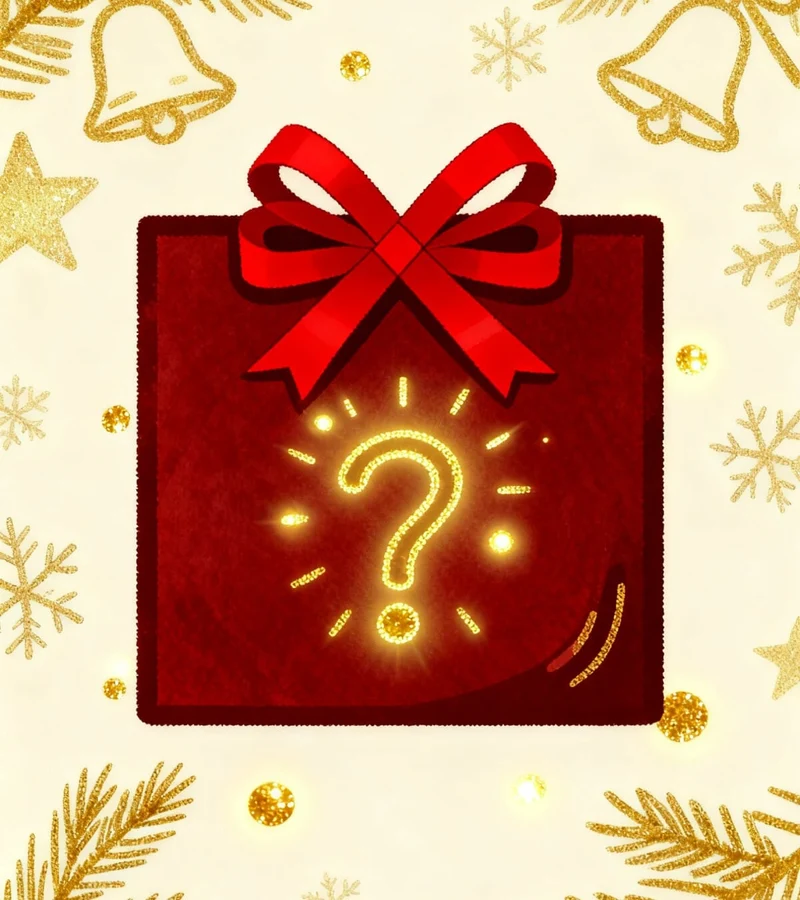 🎄Sachet surprise – Grand