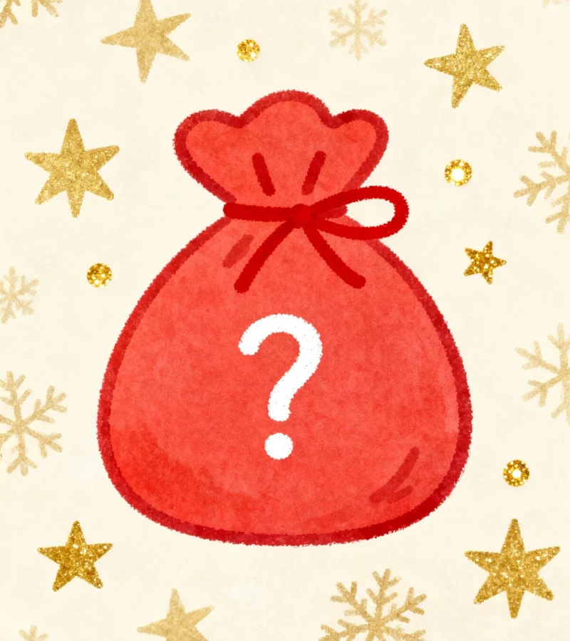 🎄Sachet surprise – Petit