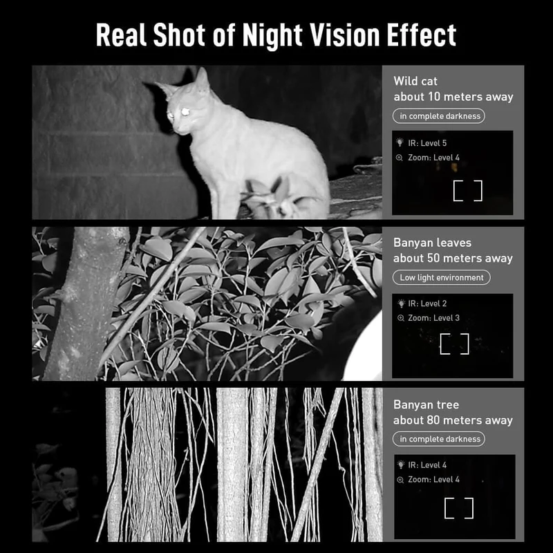 NV009 Nouvelles lunettes de vision nocturne numériques 4K HD inspirées du hibou