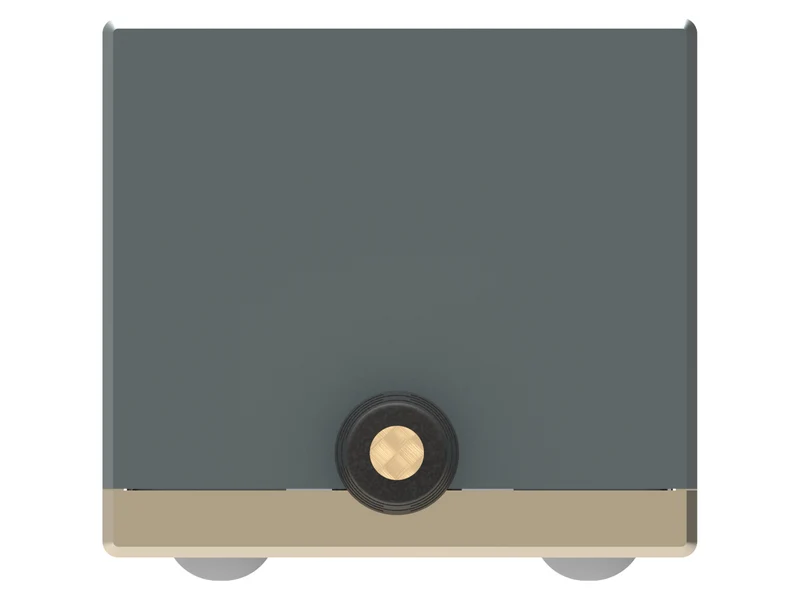 iFi Audio iPOWER Elite 12V