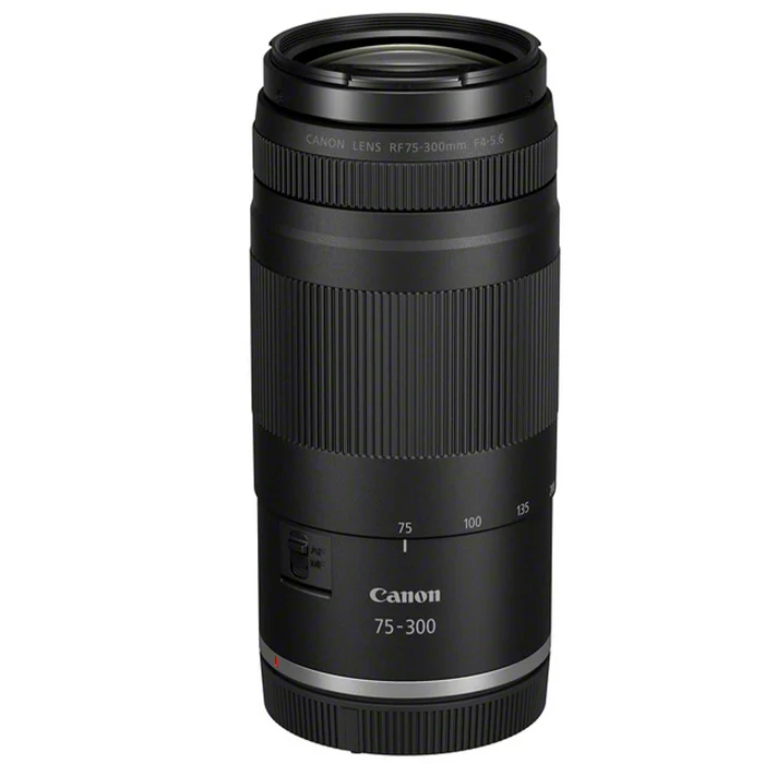 Canon EOS R100 + RF-S 18-45mm IS STM + RF 75-300mm f/4-5.6