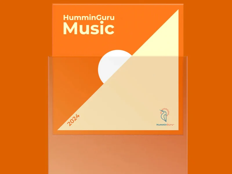 HUMMINGURU Pochettes extérieures x 50 (POUR DISQUES 7")