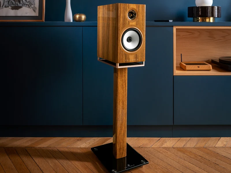 TRIANGLE ZEN Microphone