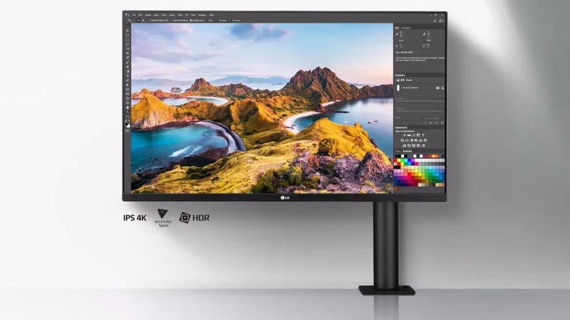 LG Electronics Ergo UltraFine 32UN880K-B