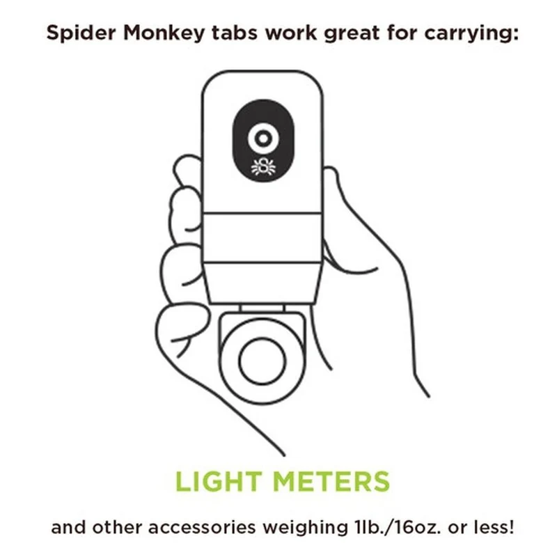 Spider SpiderMonkey (base + deux onglets)