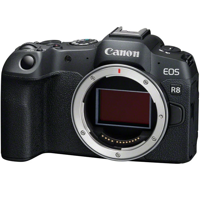 Canon EOS R8 + EF - RF adaptateur de monture