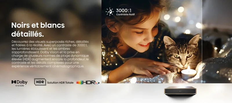 Hisense PT1