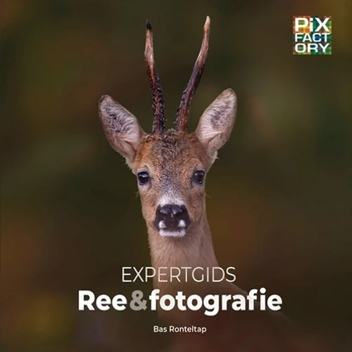 Guide expert Ree & Photographie