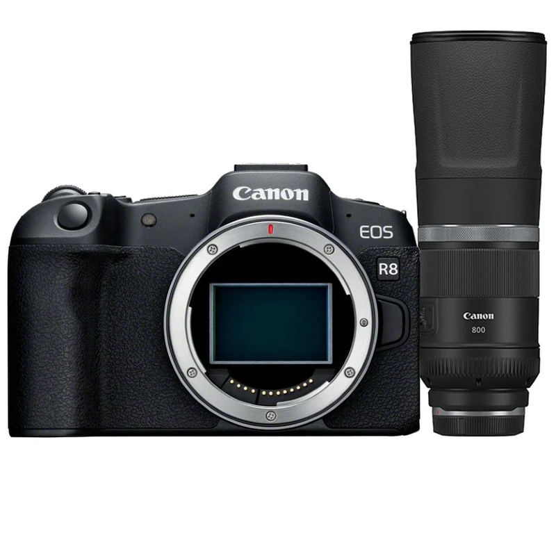 Canon EOS R8 body + RF 800mm f/11.0 IS STM