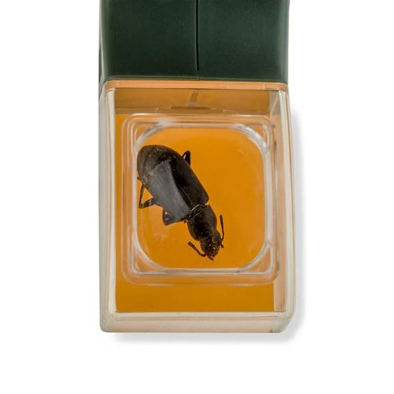Carson Bugview Loupe avec attrape-insectes à une main