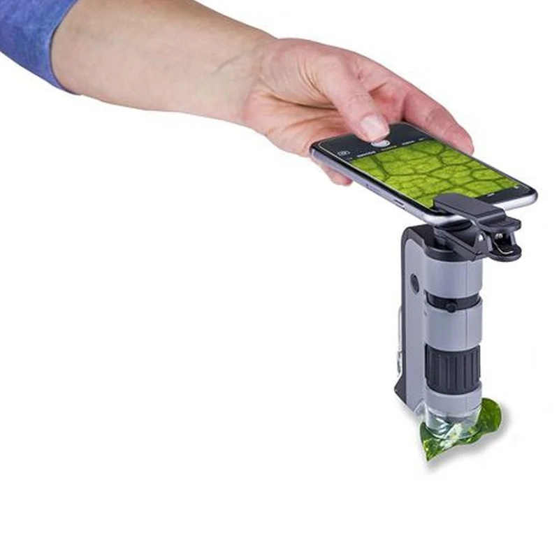 Carson Microscope portatif MP-250 MicroFlip 100-250x avec adaptateur pour smartphone