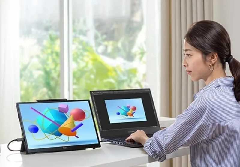 Asus ProArt Display PA169CDV