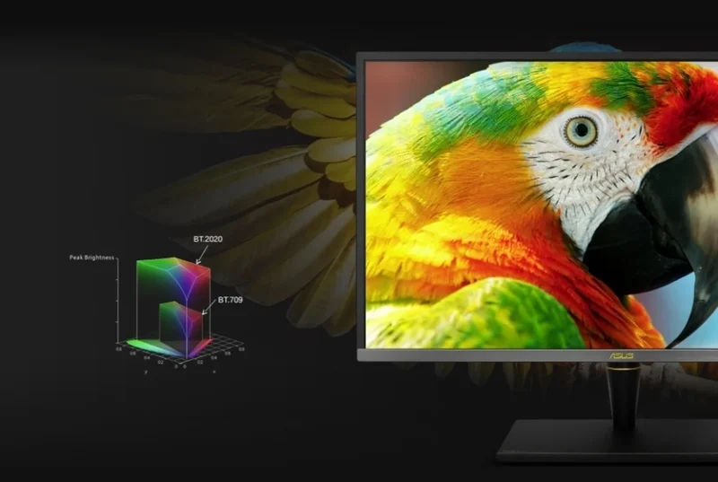 Asus ProArt Display PA27UCX-K