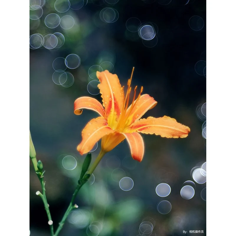 TTArtisan 100mm f/2.8 bulle bokeh Leica M