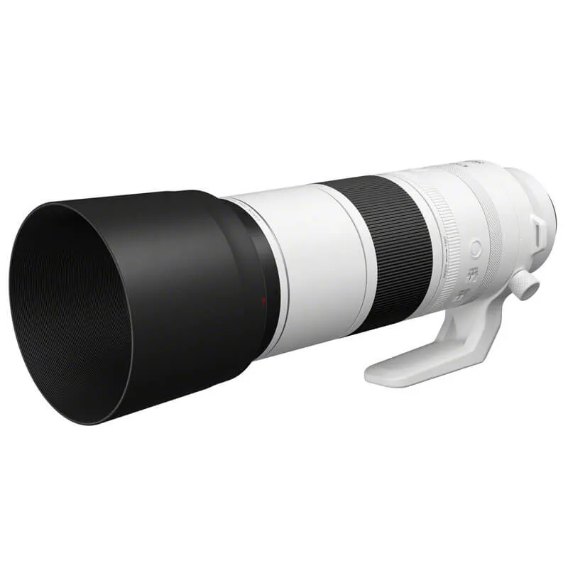 Canon RF 200-800mm f/6.3-9 IS