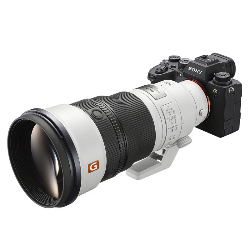 Sony FE 300mm f/2.8 GM OSS