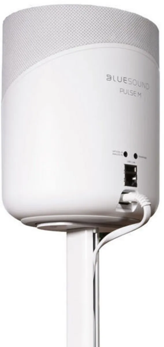 Bluesound FS230-W Blanc