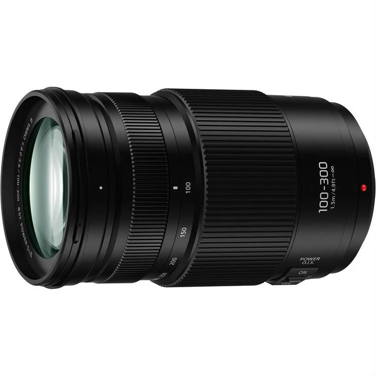 Panasonic Lumix G Vario 100-300mm f/4-5.6 II O.I.S. Mak II