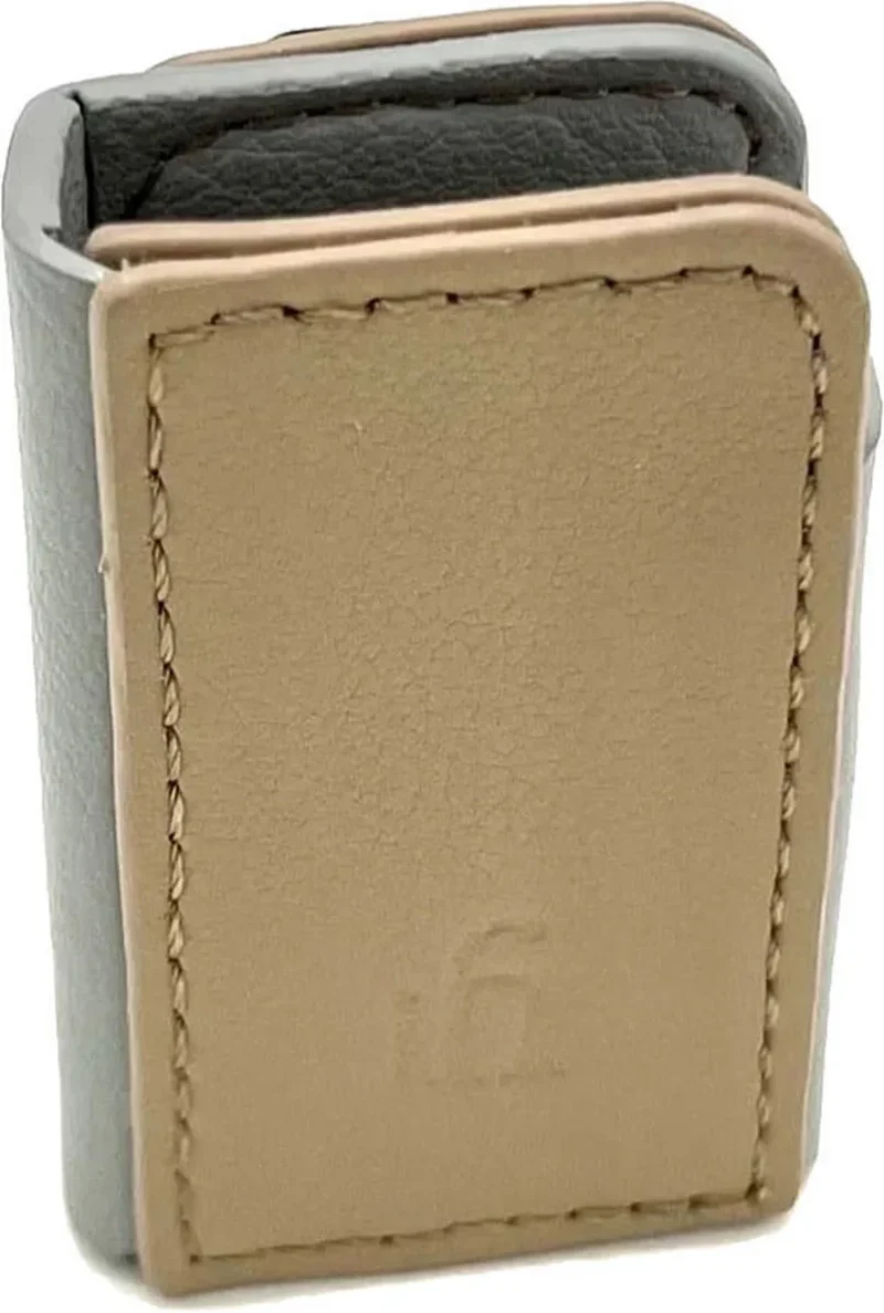 ifi Audio GO Blu Case