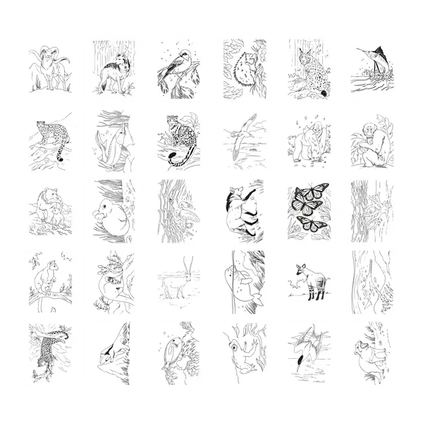 Kidywolf Kidydraw-Pad