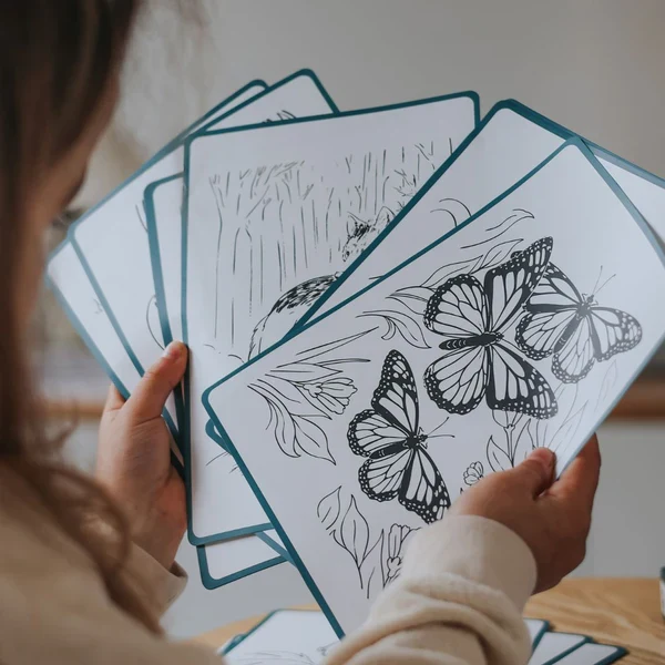 Kidywolf Kidydraw-Pad