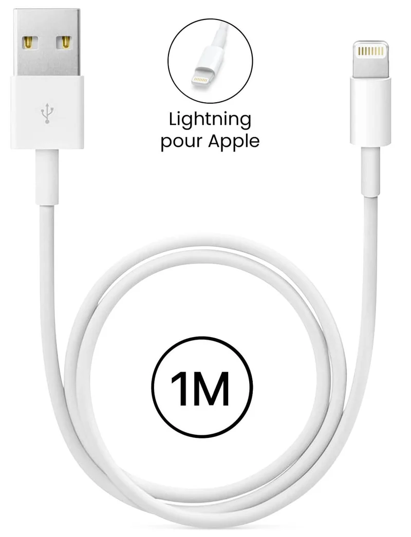 Câble USB Lightning pour Apple iPhone / iPad 1m 2A - Blanc