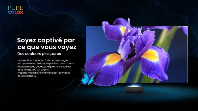 Hisense 88L5VG Noir