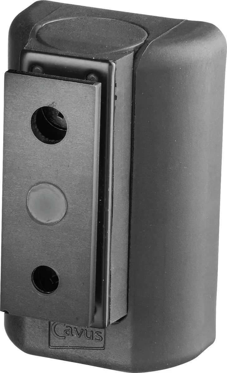 Cavus Support mural Noir pour Bluesound Pulse Flex 2i