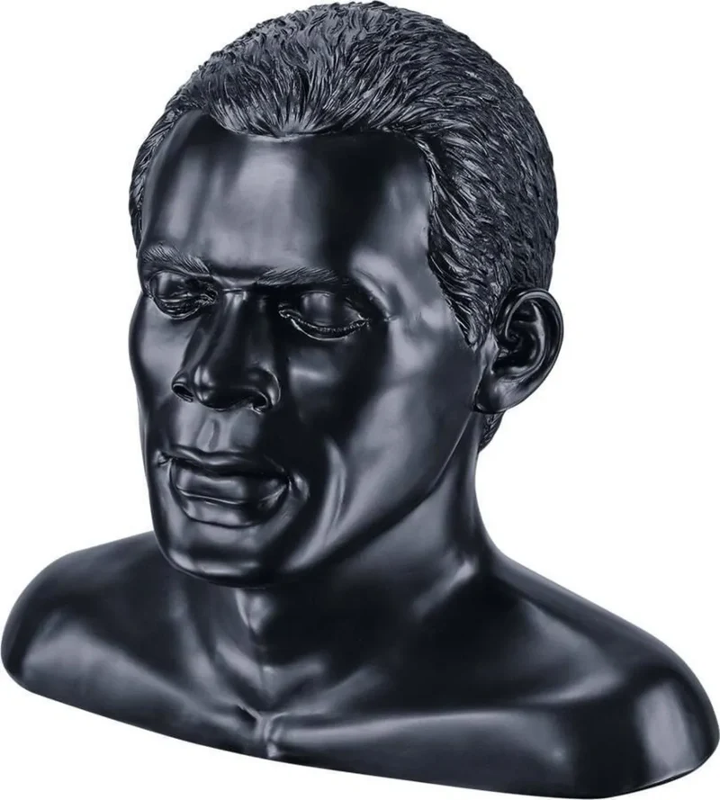 Oehlbach XXL Headphone Stand In Silence Noir