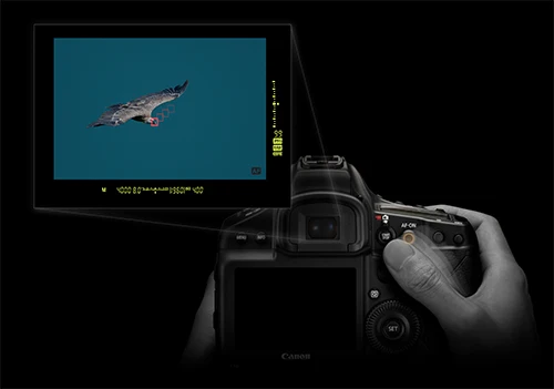 Canon EOS 1DX Mark III Boîtier Nu