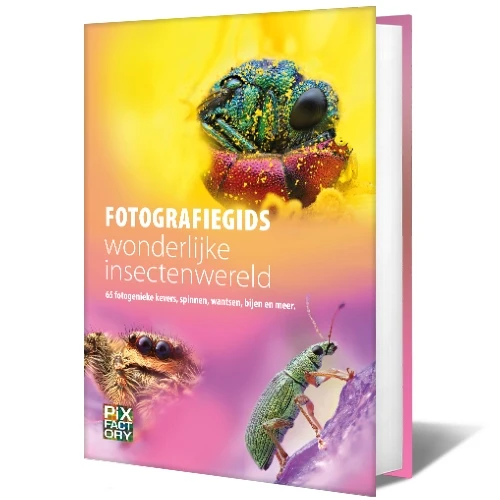 Photography Guide Wonderful Insect World