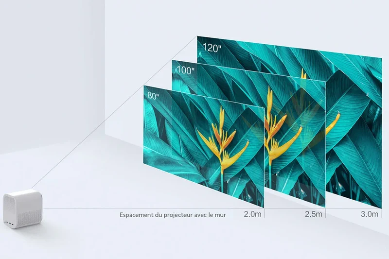 Xiaomi Mi Smart Compact Blanc