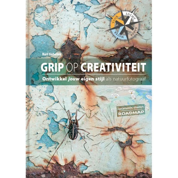 La créativité dans le livre