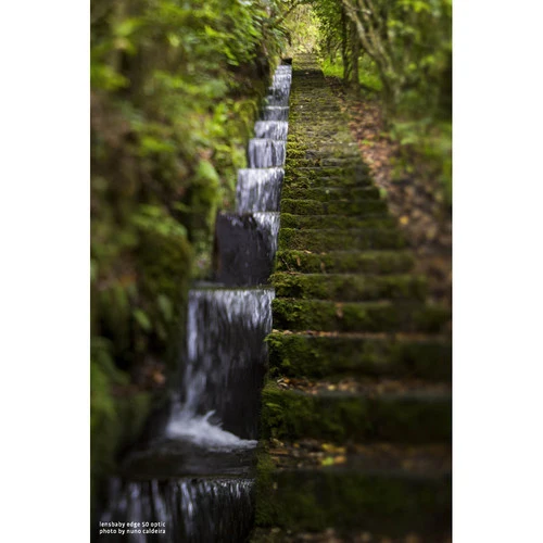 Lensbaby Composer Pro II Nikon Z avec optique Edge 50