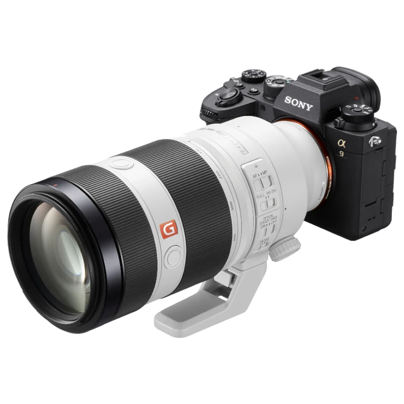 Sony Alpha 9 Mark II + FE 100-400mm f/4.5-5.6 GM OSS