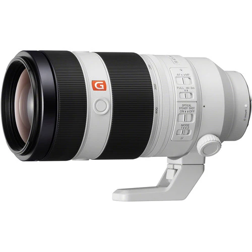 Sony Alpha 9 Mark II + FE 100-400mm f/4.5-5.6 GM OSS