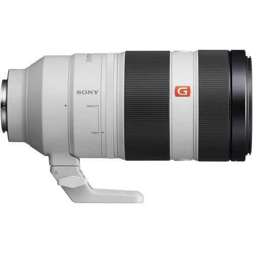 Sony Alpha 9 Mark II + FE 100-400mm f/4.5-5.6 GM OSS