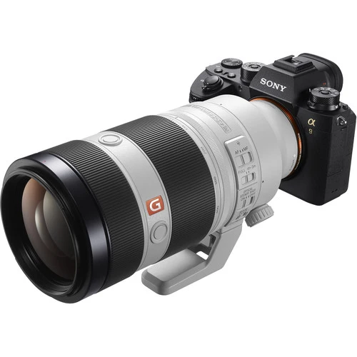 Sony Alpha 9 Mark II + FE 100-400mm f/4.5-5.6 GM OSS