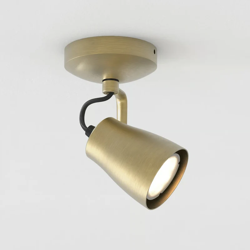 Astro Juno Single Surface Spotlight