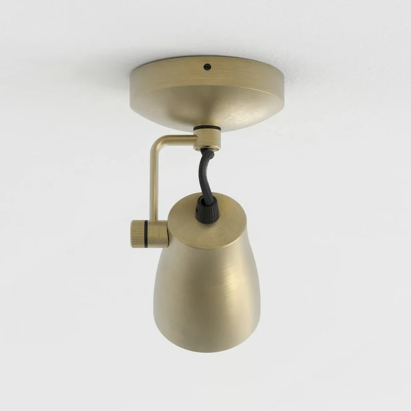 Astro Juno Single Surface Spotlight