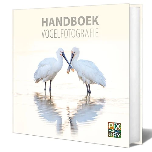 Manuel de photographie d'oiseaux