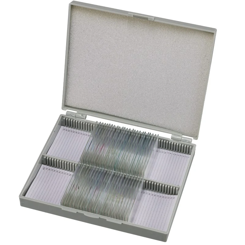 Bresser 30 Lames Préparées Pour Microscope (Histologie)