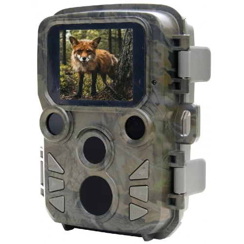 Braun Scouting Cam Black800 Mini Caméra Extérieure