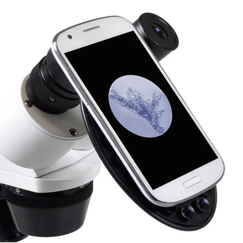 Microscope Bresser Erudit ICD Stereo (30.5)