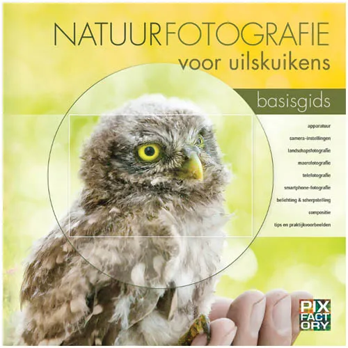 Pixfactory Photographie de la nature pour les poussins hiboux