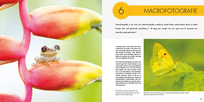 Pixfactory Photographie de la nature pour les poussins hiboux
