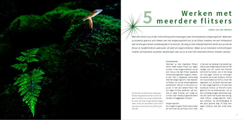 Pixfactory Flashing. Guide pratique pour les photographes de nature