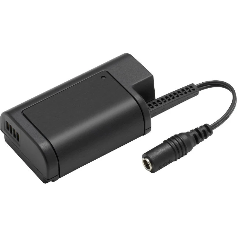 Panasonic DMW-DCC16GU pour Lumix DC-S1 / S1R
