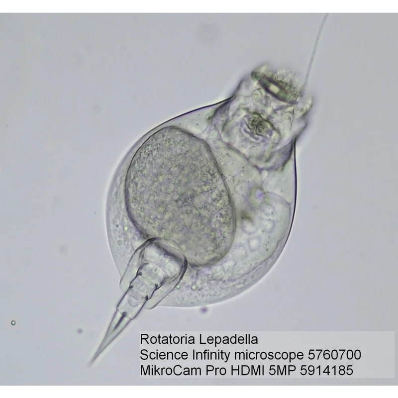 BRESSER MikroCam PRO HDMI Caméra de microscope 5MP