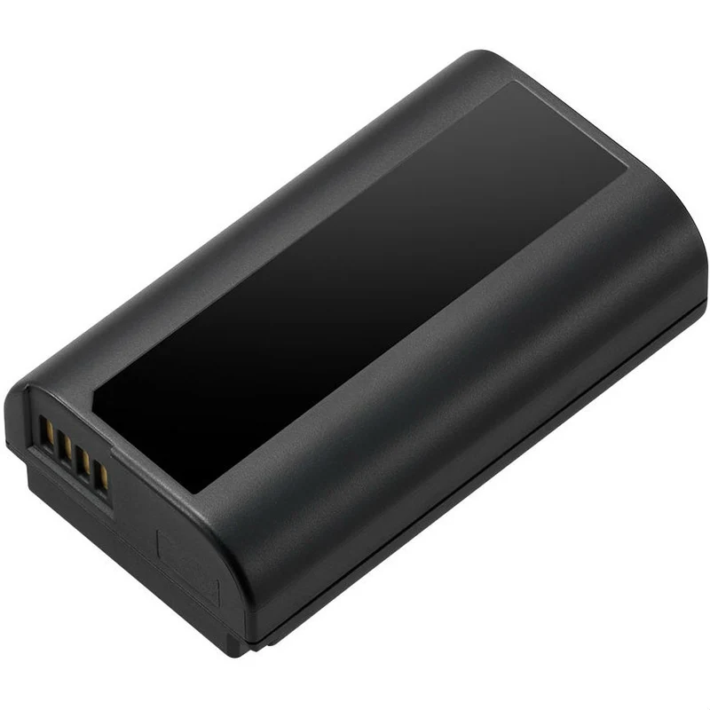 Panasonic DMW-BLJ31E Batterie pour Lumix DC-S1/S1R